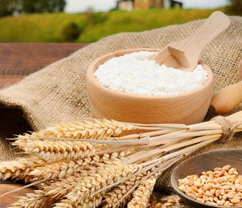 ІН-АГРО: Управління торгівлею зерном (зернотрейдер)